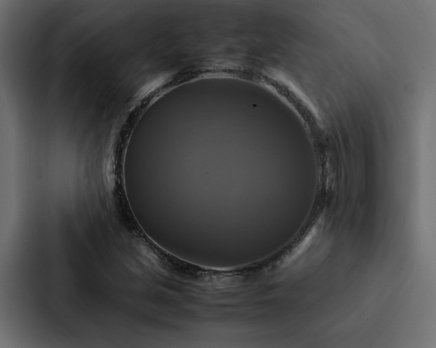 X0000088231213200705151446