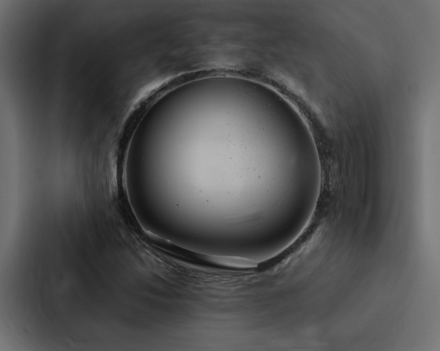 X0000088231214200705151446