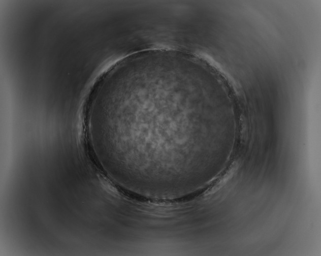 X0000088231215200705151446