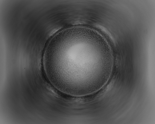 X0000088231217200705151446