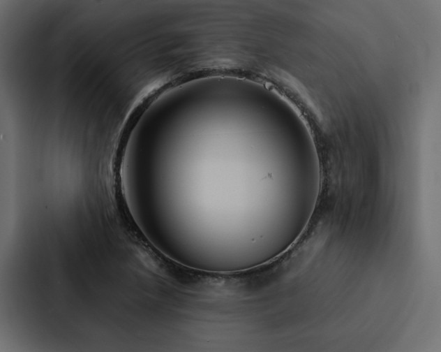 X0000088231218200705151446