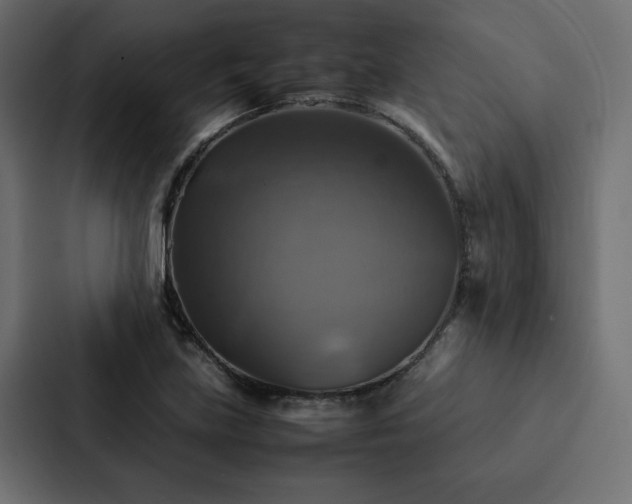 X0000088231219200705151446