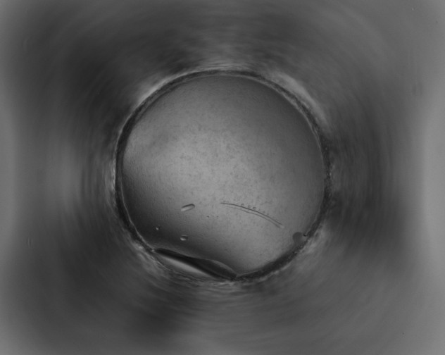 X0000088231220200705151446
