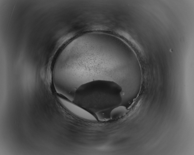 X0000088231221200705151446