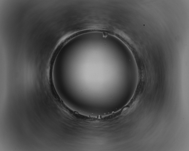 X0000088231222200705151446