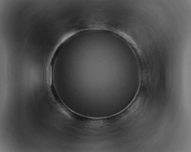 X0000088231223200705151446
