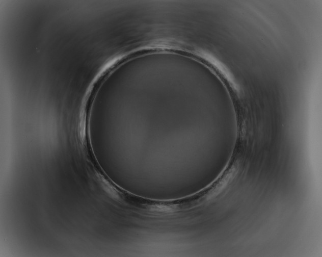 X0000088231224200705151446