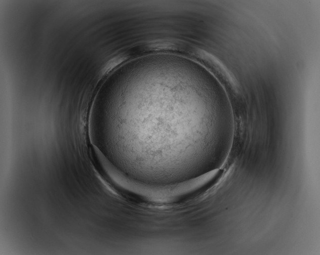 X0000088231225200705151446