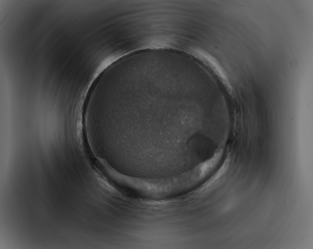 X0000088231226200705151446