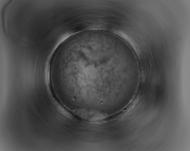 X0000088231227200705151446
