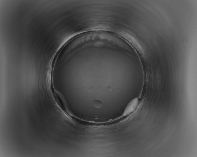 X0000088231228200705151446