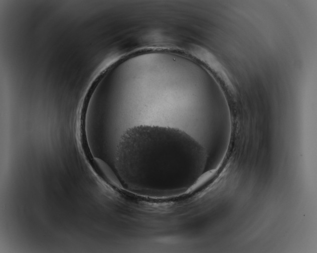 X0000088231229200705151446