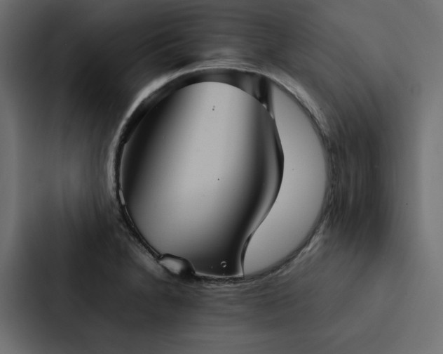 X0000088231230200705151446