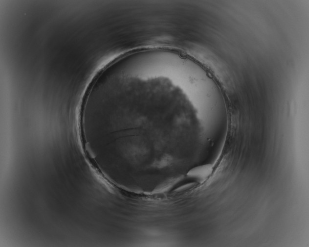 X0000088231231200705151446
