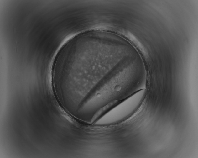 X0000088231232200705151446