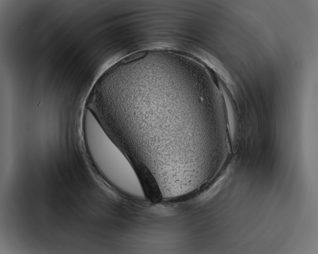 X0000088231234200705151446