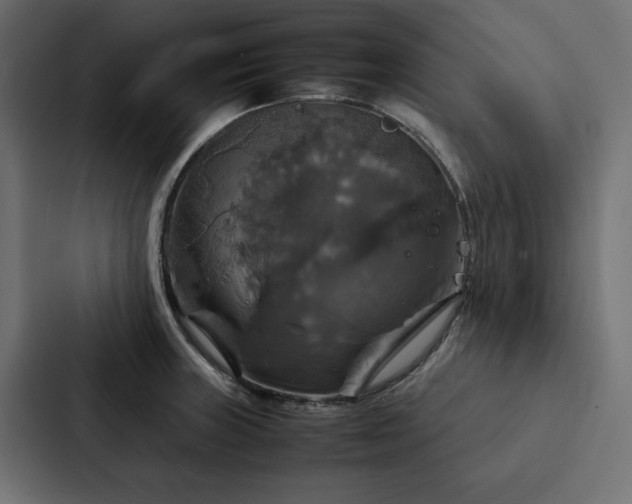 X0000088231235200705151446