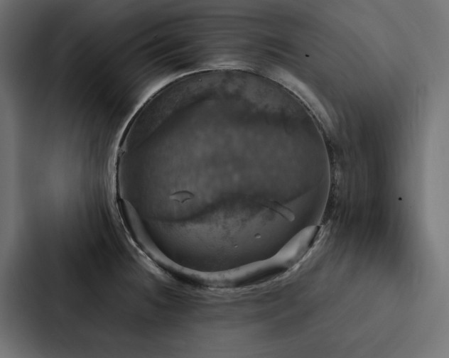 X0000088231236200705151446