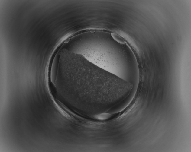 X0000088231237200705151446
