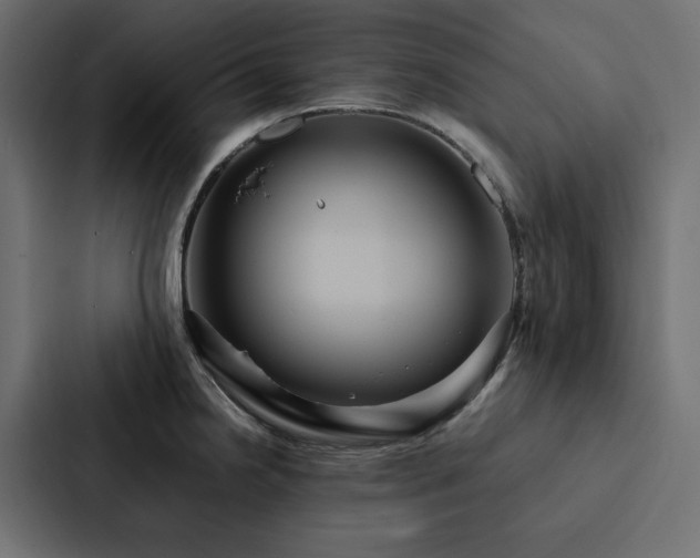 X0000088231238200705151446