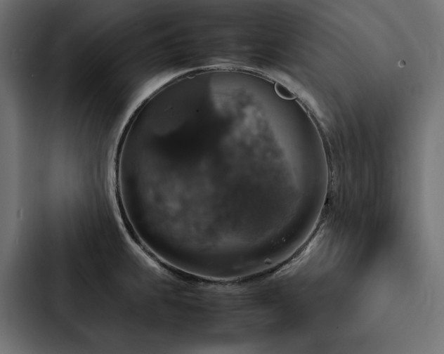 X0000088231239200705151446