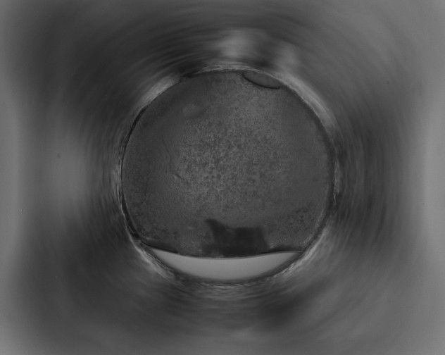 X0000088231241200705151446