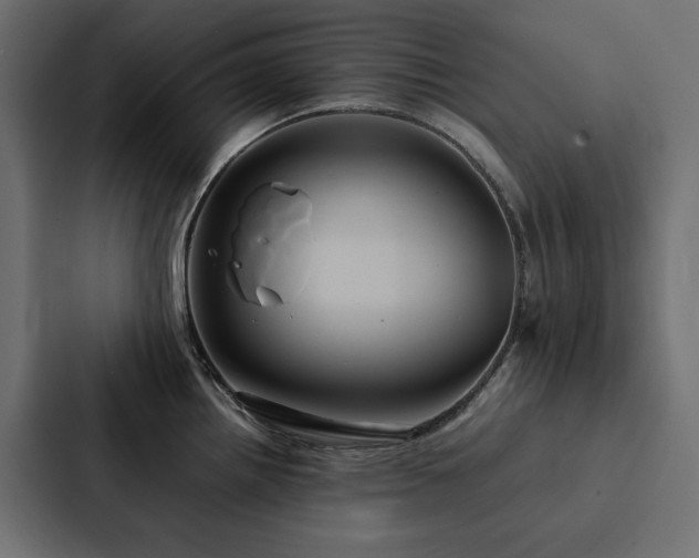 X0000088231242200705151446