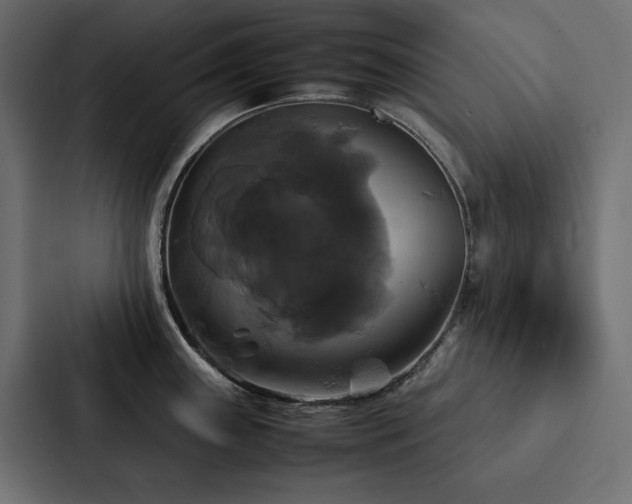 X0000088231243200705151446