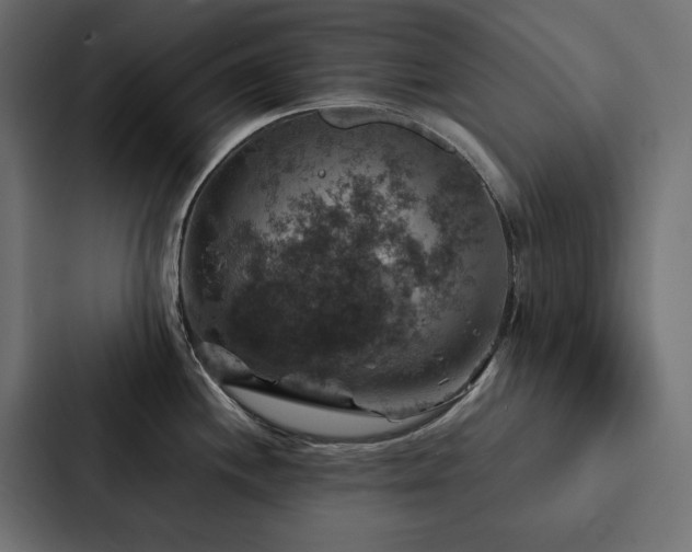 X0000088231244200705151446