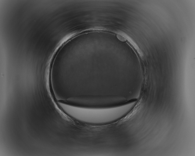 X0000088231245200705151446