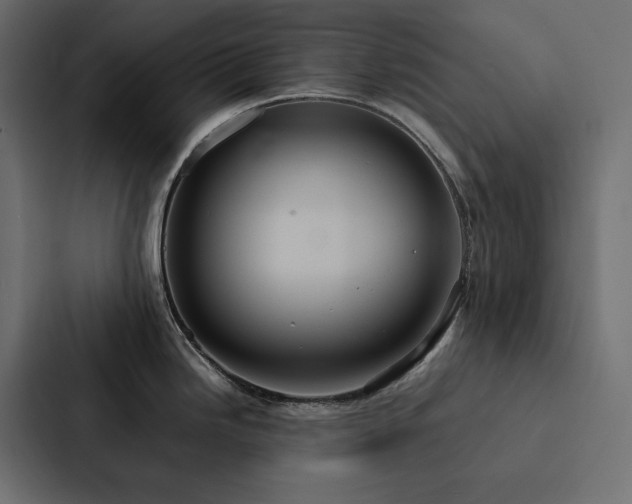 X0000088231246200705151446