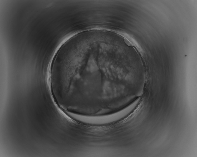X0000088231247200705151446