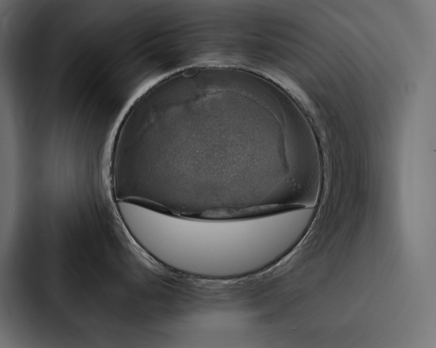 X0000088231248200705151446