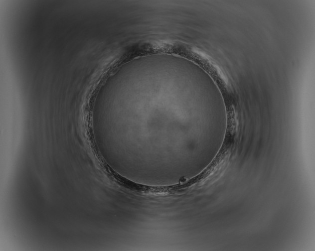 X0000088231249200705151446