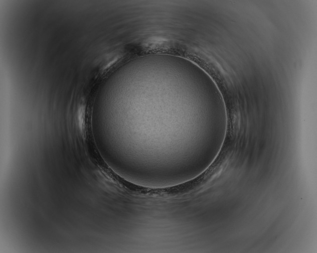 X0000088231250200705151446