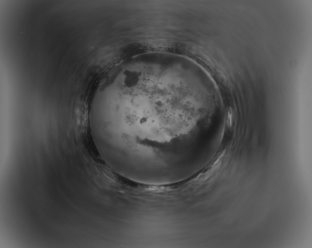 X0000088231251200705151446