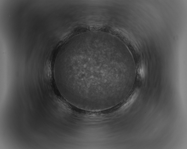 X0000088231252200705151446