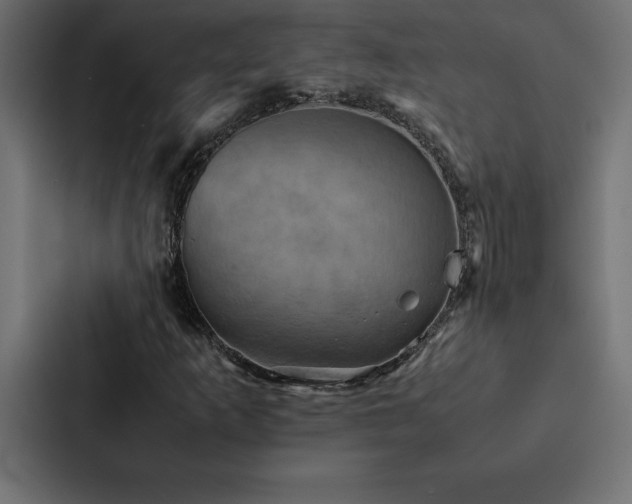 X0000088231253200705151446
