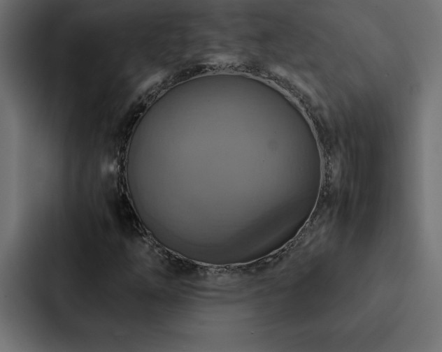 X0000088231254200705151446