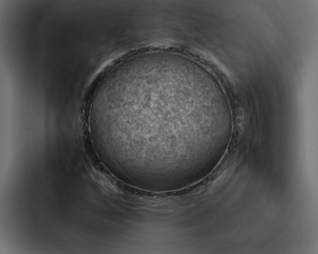 X0000088231256200705151446