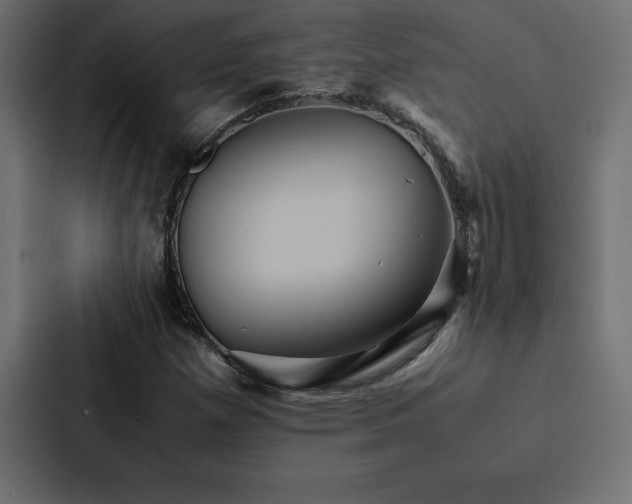 X0000088231257200705151446