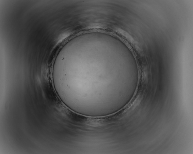X0000088231258200705151446