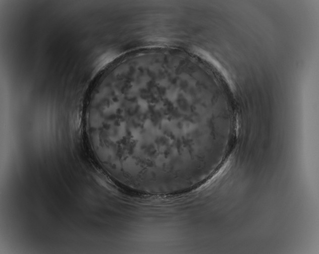 X0000088231259200705151446