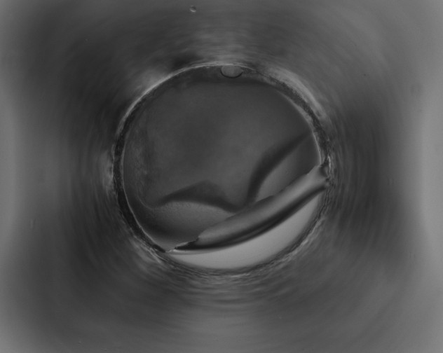 X0000088231260200705151446