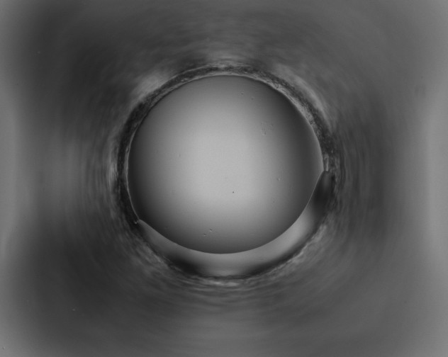 X0000088231261200705151446