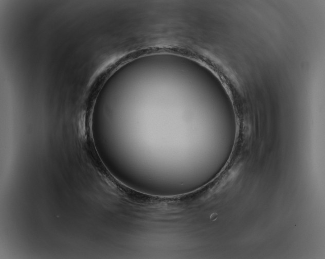 X0000088231262200705151446