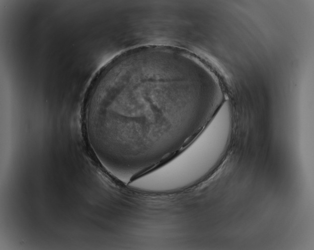 X0000088231264200705151446