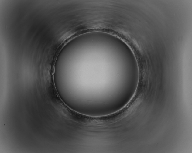X0000088231265200705151446