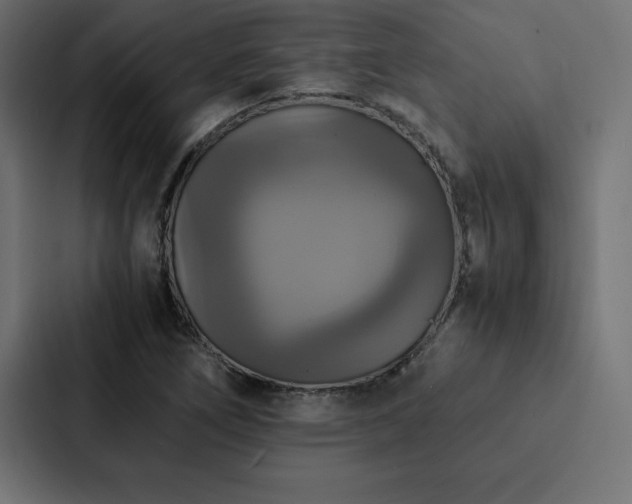 X0000088231266200705151446