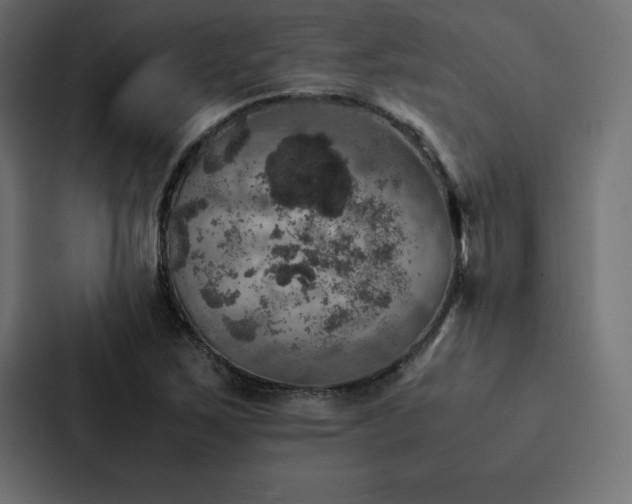 X0000088231267200705151446